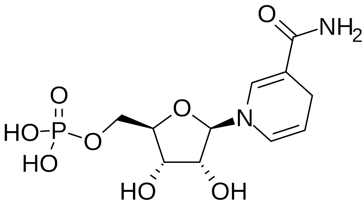 Informazioni su NMNH